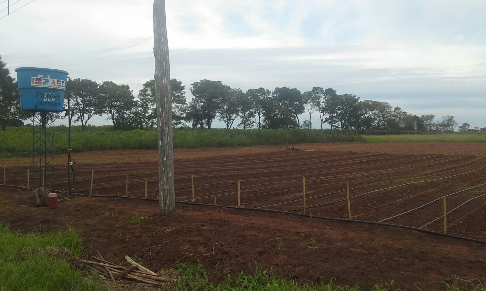 Centro de capacitación del IPTA en San Juan Bautista